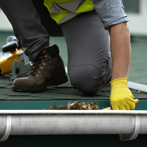 Maintenance Tips