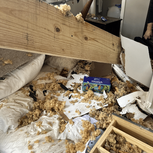 Storm damage recovery
