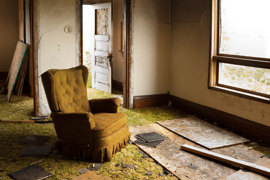 Home Damage