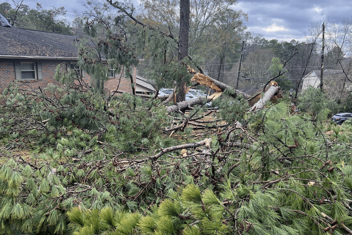 Storm damage recovery