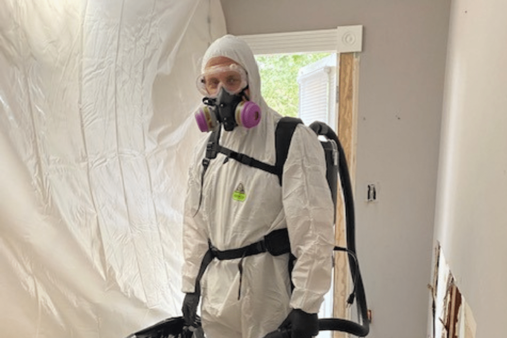 Mold inspection