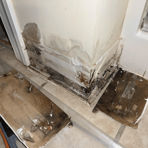 Remediate Mold