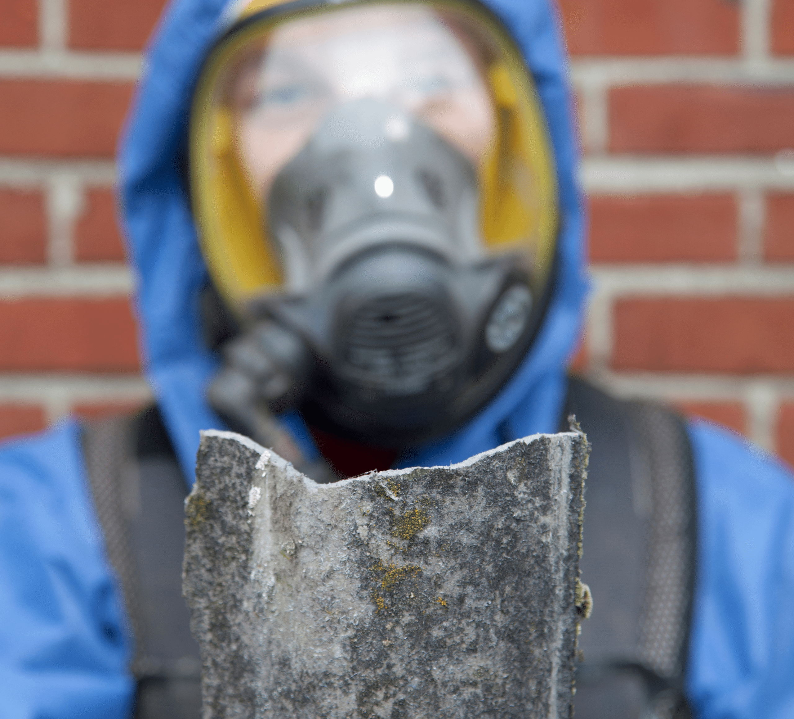 Asbestos Abatement (2) Asbestos Abatement (2)