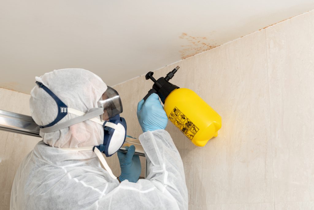 mold growth