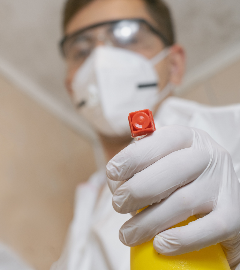 Water damage and mold remediation in Birmingham Al